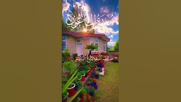 #سورة #الماعون #ماهر #المعيقلي #راحة_نفسية
