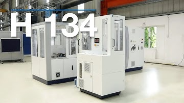 H134 – Fully automated Brush Handle Feeding System