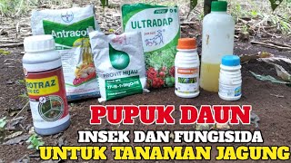 CARA AMPUH MENYUBURKAN TANAMAN  JAGUNG‼️JANGAN SALAH PILIH PUPUK DAUN