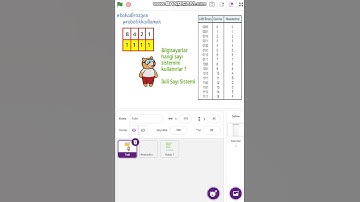 Robotik Kodlama Scratch Programlama ve Örnekleri
