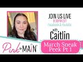 March Sneak Peek Part 1 - Birthday Shaker Card with Caitlin