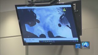 'Help me': Bodycam video shows moment Portsmouth officer was shot