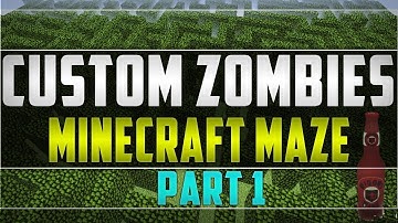 Custom Zombies: Minecraft Maze part 1 "WIDOWS WINE????"