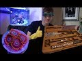 Frag Toxic Corals (Zoas) The Right Way! EcoTech Coral Propagation Kit