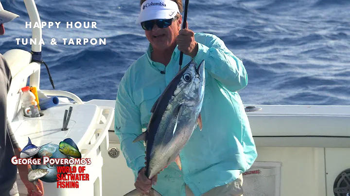 SAILFISH & TARPON, MIAMI, FLORIDA - 2022 SEASON - ...