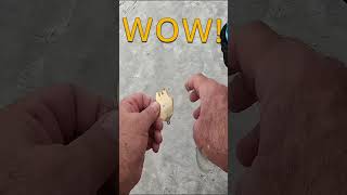 18k Gold Plated King Tut Pharaoh Pendant Found Metal Detecting shorts metaldetecting