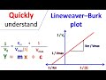 Mastering Enzyme Kinetics Through the Lineweaver-Burk Plot