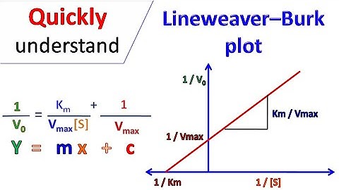 Lineweaver Burk plot