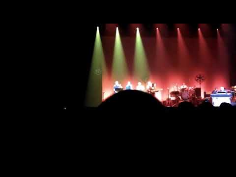 Steely Dan Peg at Manchester Arena