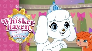 Video thumbnail of "Throwing a Ball | Whisker Haven Tales with the Palace Pets | Disney Junior"
