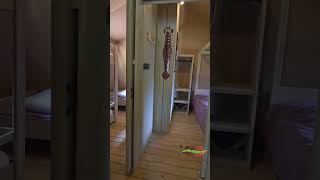 Cerza Safari Lodge- Visitez Les Tentes Safaris