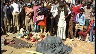 Indian Street Magician Makes A Young Boy Disappear Into A Jute Basket