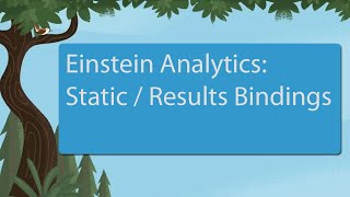 Einstein Analytics Static and Results Binding (Tableau CRM)