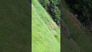 Shooting propane tank that doesn’t explode#boring Net Worth