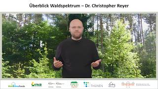 Das Projekt Waldspektrum - Überblick mit Dr. Christopher Reyer