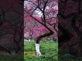 冬天来的时候你还在不在-薛池音_347