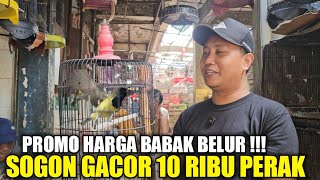 Download Lagu SELAKUNYA ! SOGON GACOR CUMA 10 RIBU !!! KIOS MANTO BIKIN ULAH SATU PRAMUKA MEMANAS HARI INI MP3