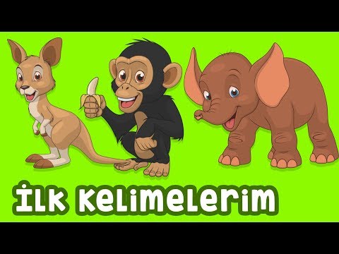 Bebekler İçin Hayvanlar - Gerçek Hayvan Sesleri - İLK KELİMELERİM
