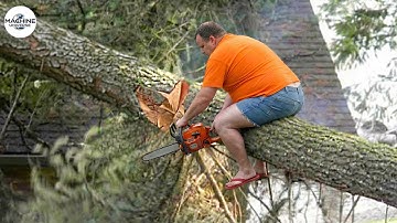 Idiots With Chainsaws: Tree Cutting Fails | Extreme Dangerous Logging Truck Fails #29