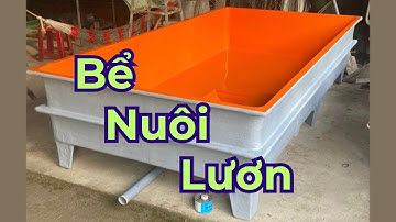 Bể nuôi Lươn không bùn _ Nhựa Composite nguyên khối | Giang Minh Composite
