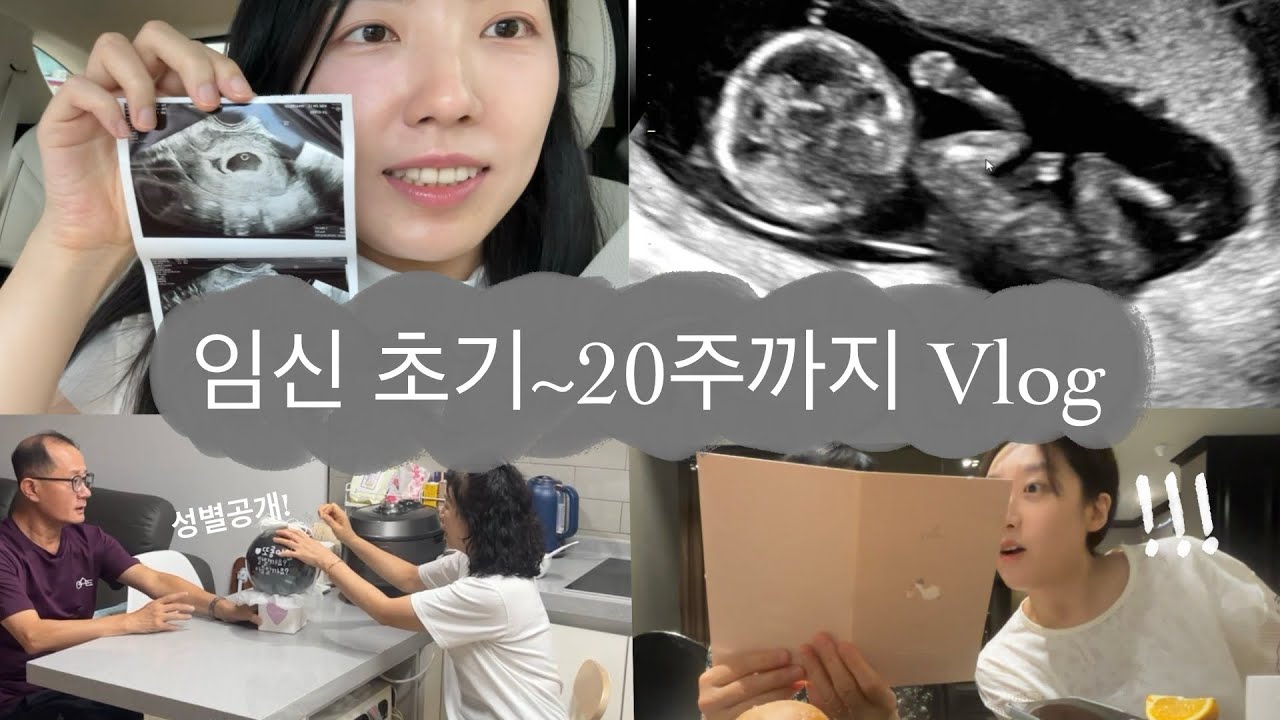 [Vlog] 내가 임신..? 20주까지의 증상과 임밍아웃, 젠더리빌 후기(초음파 영상 있어요)