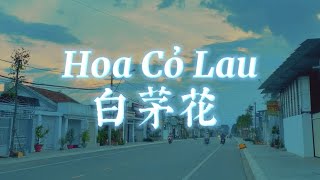 Download Lagu 最好听的翻唱女生版|Hoa Cỏ Lau (白茅花)- Phong Max|Cover Tina Ho MP3 Download Lagu 最好听的翻唱女生版|Hoa Cỏ Lau (白茅花)- Phong Max|Cover Tina Ho MP3