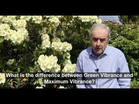 Green Vibrance vs Maximum Vibrance: Which is Best?