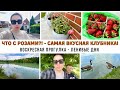 Milana lifevlog           