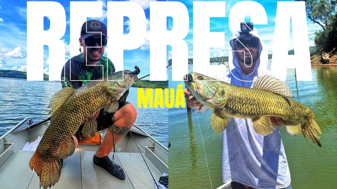 Calor extremo aonde achar as Gigantes???