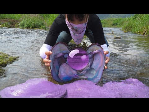 😱 The girl accidentally discovered a purple clam, with pearls shining like gemstones inside🔮🔮