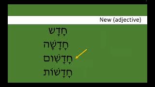 Prayerbook Hebrew 21 Vocabulary