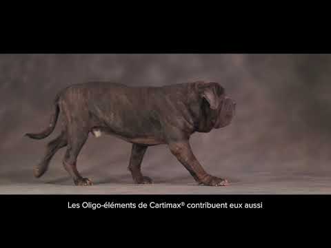 Cartimax mini 50 gélules - vidéo 1