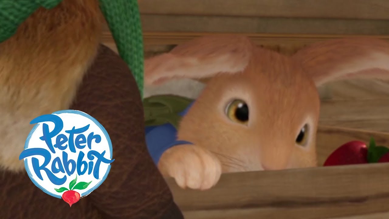 Peter Rabbit - Peter Is Caught in a Cage! | Cartoons for Kids - YouTube