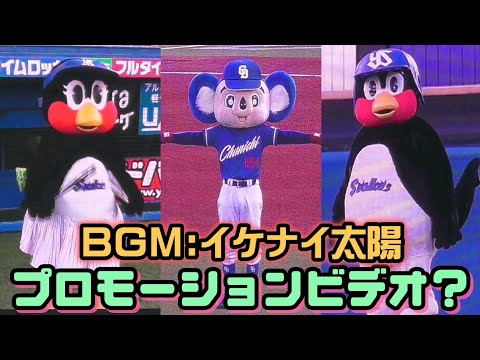 2023/8/20 つば九郎&つばみ&ドアラ カッコ良さげなPVみたいになる（BGM：イケナイ太陽）