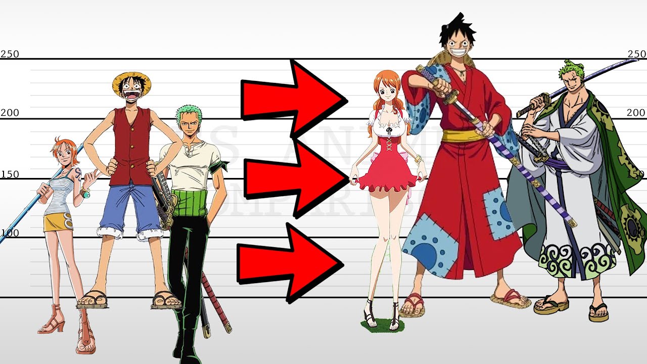 List of One Piece characters  Wikipedia