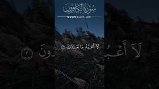Download Lagu Surah Al-Kafirun (سورة الكافرون)  Beautiful Quran Recitation | {by Abdullah Hamad Abu Sharida - beta MP3 Download Lagu Surah Al-Kafirun (سورة الكافرون)  Beautiful Quran Recitation | {by Abdullah Hamad Abu Sharida - beta MP3