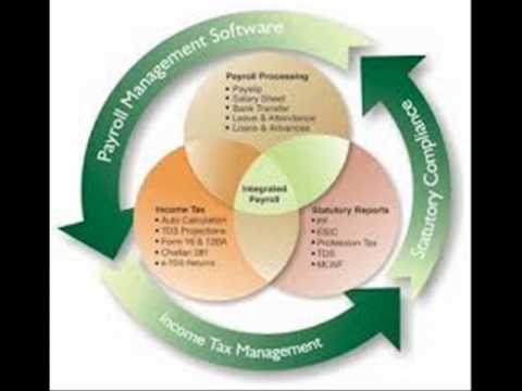 Payroll Processor