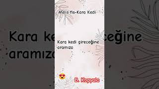 Melis Fis - Kara Kedi 🐱Yeni Şarkı Resimi