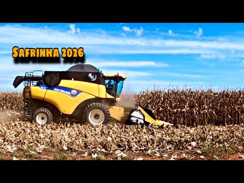 Starting another second corn crop season | 2026