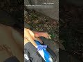 【故事的小黃花...】男友搞怪耍浪漫 她白眼接下「有味道的花」｜情侶｜送花｜荒謬