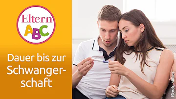 Wie lange dauert es mit 40 schwanger zu werden?