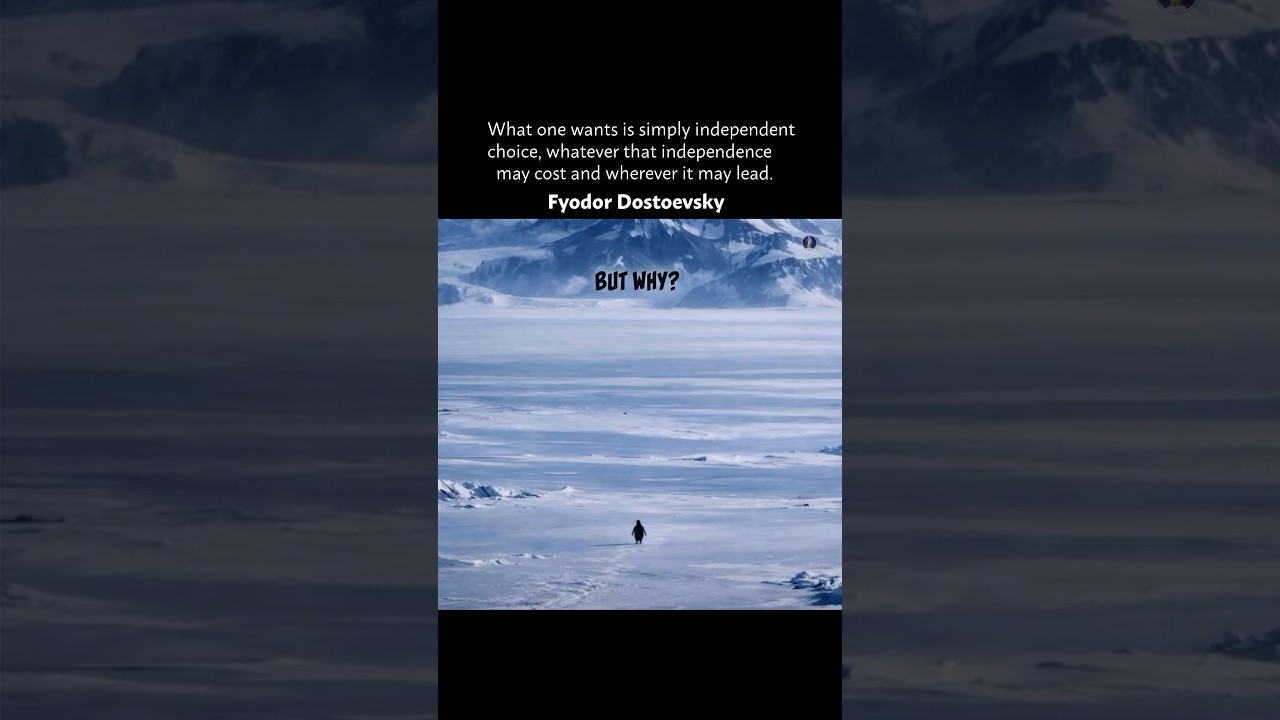 But Why.. Nihilist Penguin & Dostoevsky searching meaning in life. 