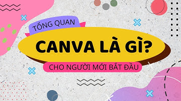 Canva là gì? Tổng quan về Canva cho người mới bắt đầu