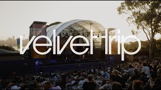 Velvet Trip live at Taronga Zoo