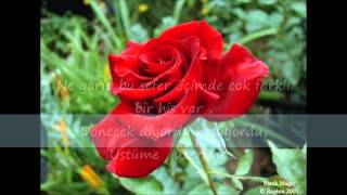 Son liman Son Vapur