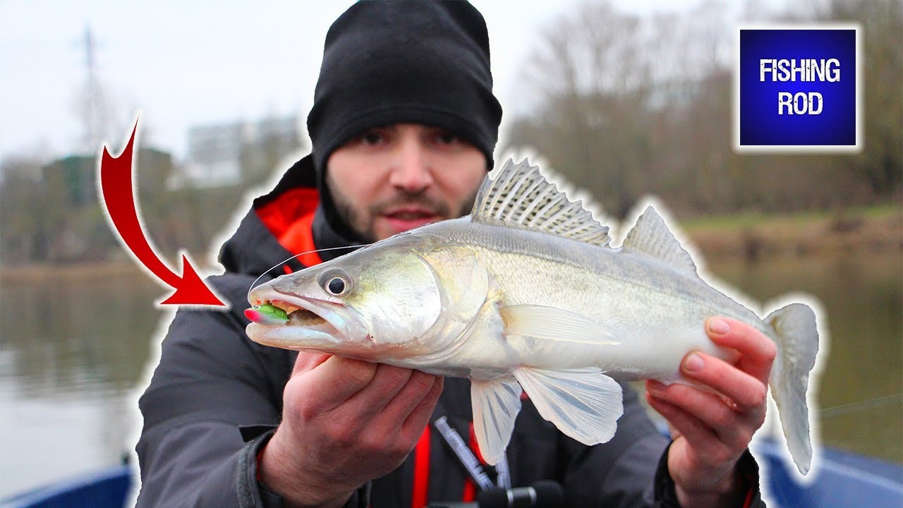 RÉUSSIR SA PÊCHE EN FINESSE !!! [Session verticale]