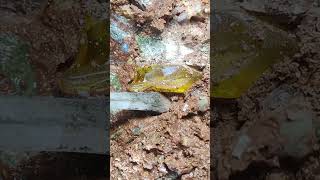 Crystal hunting in forgotten mines: The ultimate guide。Rainbow Beach's Crystal Secrets