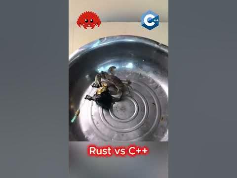 rust vs cpp #shorts - YouTube