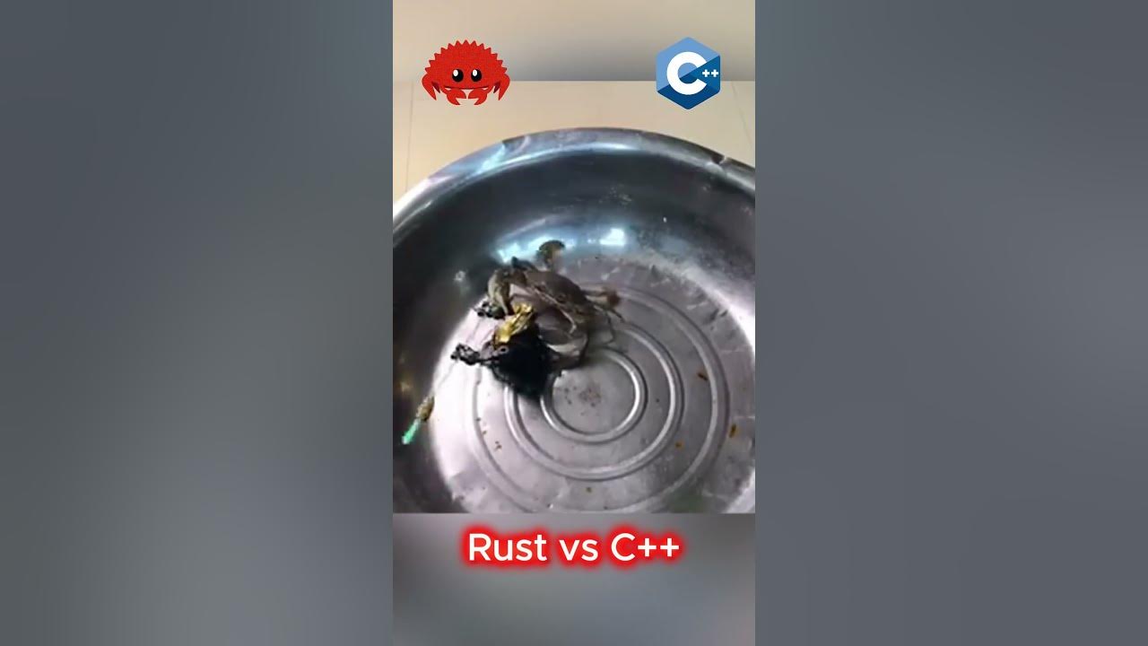 rust vs cpp #shorts - YouTube