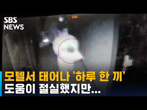 모텔서 태어나 '하루 한 끼만', 도움이 절실했지만… / SBS